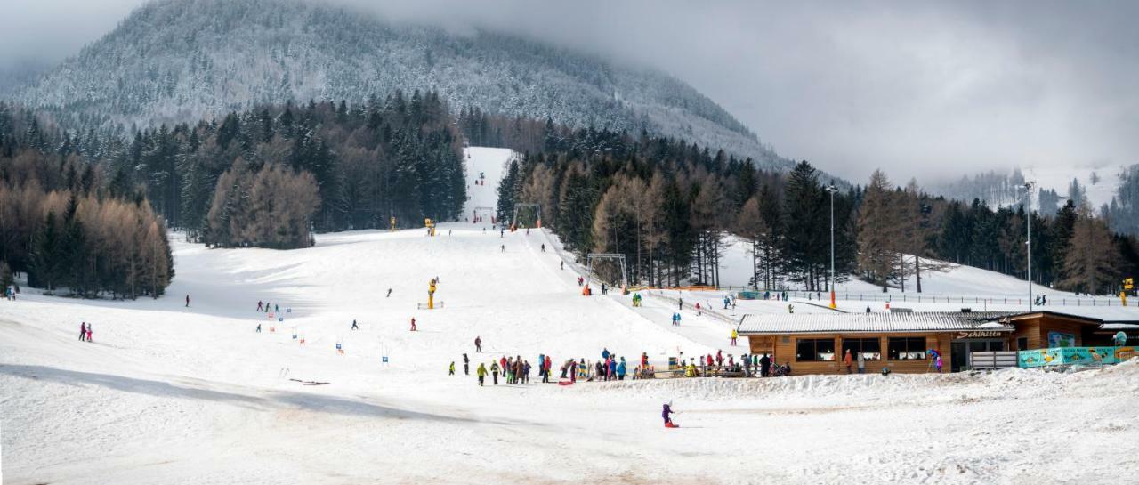 Haus Lenz Ferienwohnungen - Fam Ostermann Puchberg am Schneeberg Exterior foto